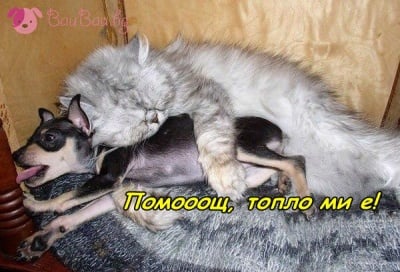 Топла прегръдка