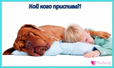 И големият въпрос е ...