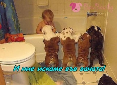 Неделна баня