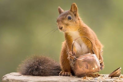 "Да те почерпя едно чайче"