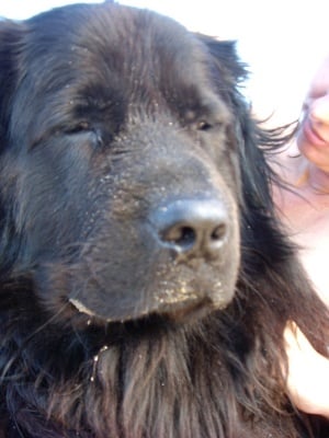 Моето съкровище...