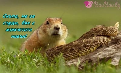 Виновен до доказване на противното