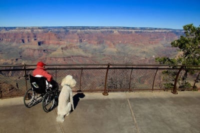 Норма и Ринго