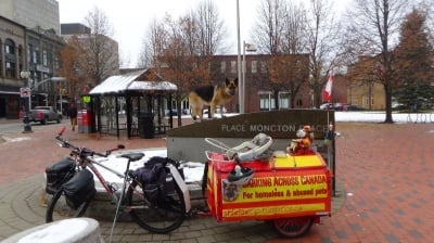 Пътешествие с куче