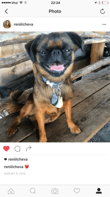 Малък Брабансон