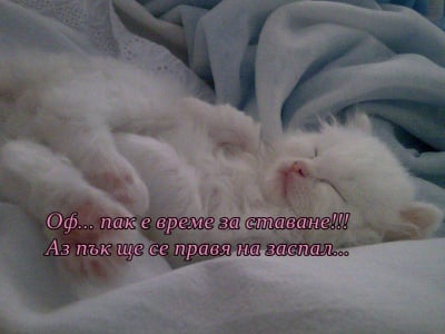 Вторник сутрин