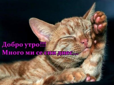 Рижав поспаланко