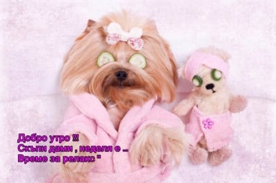 "Студено или не, аз трябва да съм хубава!"