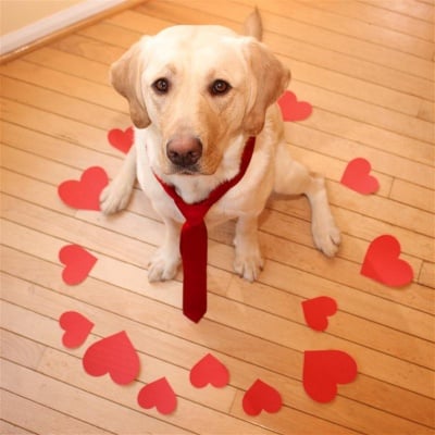 Обичам те!!!