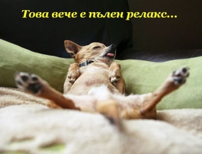 Никой да не ме закача днес!