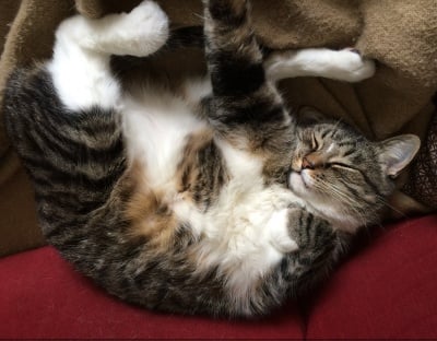 Никой да не ме закача