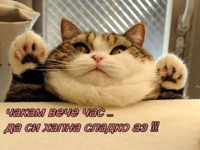 Вечно гладен