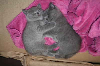 Винаги заедно!