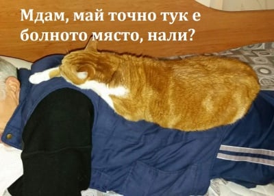 Домашен терапевт на вашите услуги