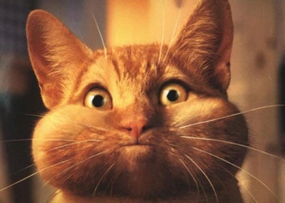 "Само не ме карай да кажа Мяу-у"