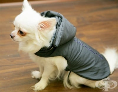 ЧИКИТА ЗИМНО ЯКЕ ЗА КУЧЕ DARK PEPIT 