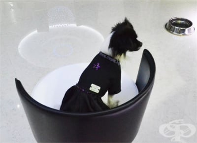 ЧИКИТА ЛУКСОЗНА РОКЛЯ ЗА КУЧЕ LITTLE BLACK DRESS 