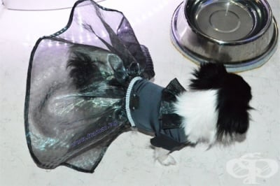 ЧИКИТА ЛУКСОЗНА РОКЛЯ ЗА КУЧЕ SHADES OF GREY 