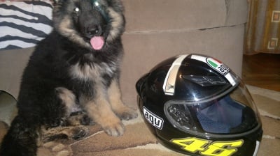 Ралф на 3 месеца