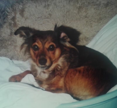 Нашата любимка!