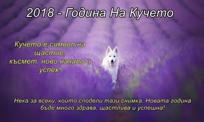 2018 - Година на Кучето