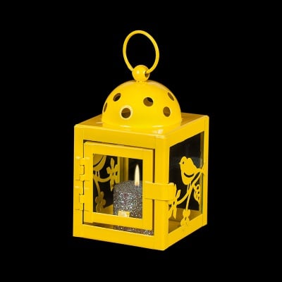 Жълт фенер - пиленце