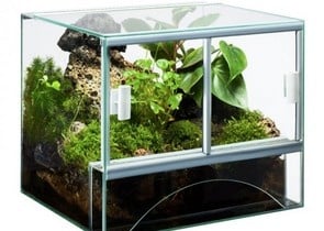 Diversa терариум различни размери