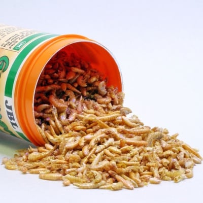 JBL Gammarus 250мл; 1литър - Храна за костенурки – гамарус. Съдържа изсушени водни бълхи (гамарус) – любима храна на костенурките.