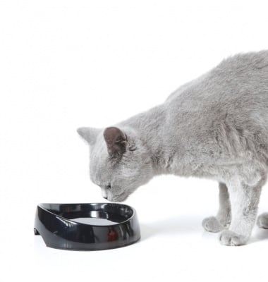 Съд за вода за персийски и британски породи Whisker water от Savic, Белгия