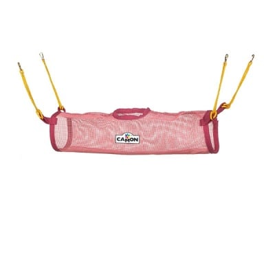 Тунел за порче