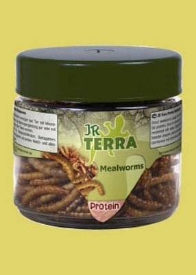 JR Terra – Бели червеи