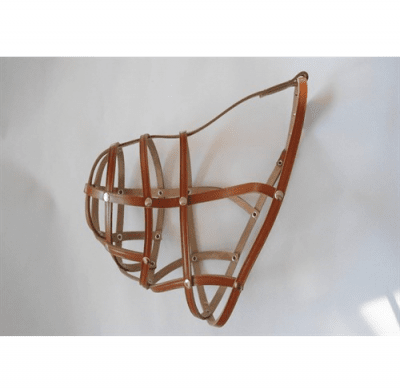 намордник сан бернар