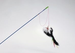 Играчка-въдица с мишле