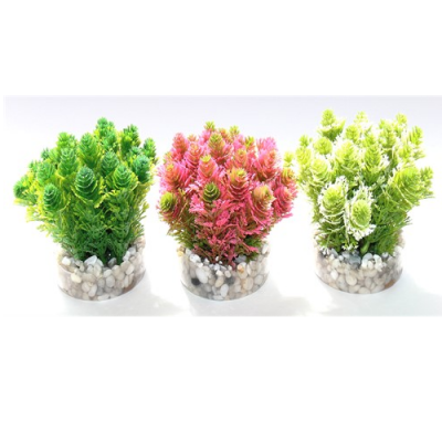 Растение Nano Grass Bush 8см от Sydeco, Франция