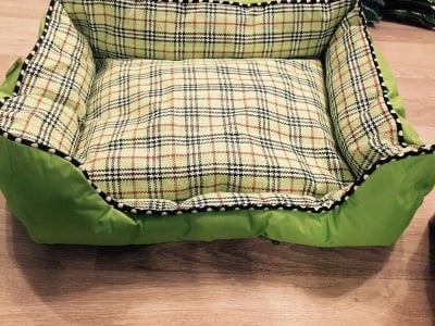 Легло Хамелион