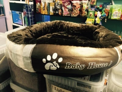 Легло Злато лукс 1