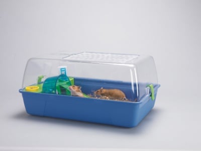 Оборудвана къща за дребни гризачи Rody Hamster