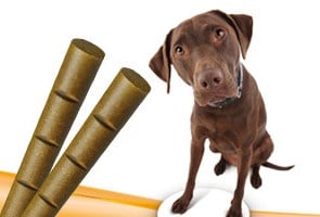 CRANCY DOG STICK - Пръчици с вкус на пиле