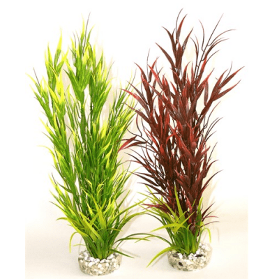 Растение Wild Mountain 39см от Sydeco, Франция