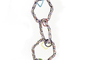 Цветна люлка за папагали