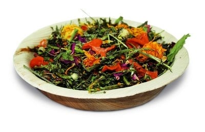 Фитнес ястие за гризачи