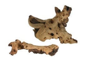 Мопанов корен L/S