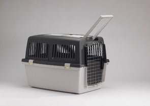 Транспортни чанти Gulliver в два размера