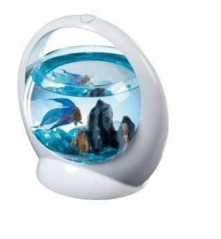 "Tetra Betta AguarIum ring" - Аквариум за рибки Бета