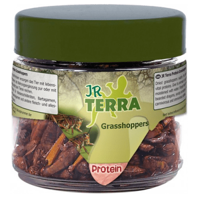 JR FARM Скакалци - Скакалците набавят нужните протеини на Вашия домашен любимец.
