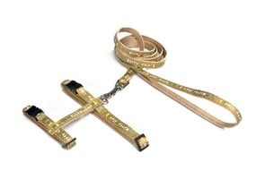 Луксозен нагръдник с повод в различни цветове