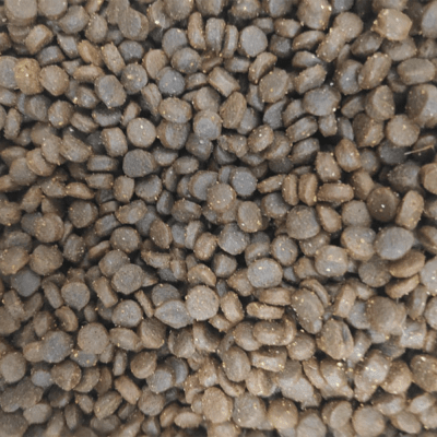 Суха храна за котки Natural Selection URINARY Super Premium, с пилешко месо, 100гр насипно