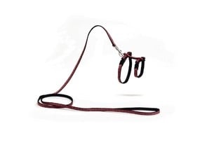 Красив нагръдник в чрвено и черно с повод - 8мм.х15-33см.+120см.