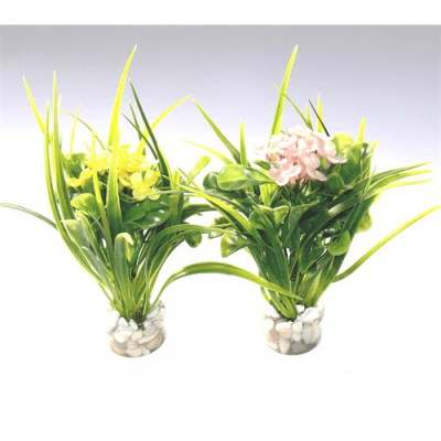 Растение Blooming Flower 15см от Sydeco, Франция