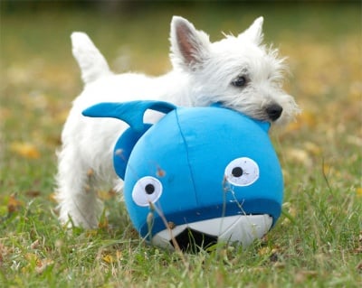 Неопренова топка за вас и вашето куче - Booga Ball от Flamingo, Белгия